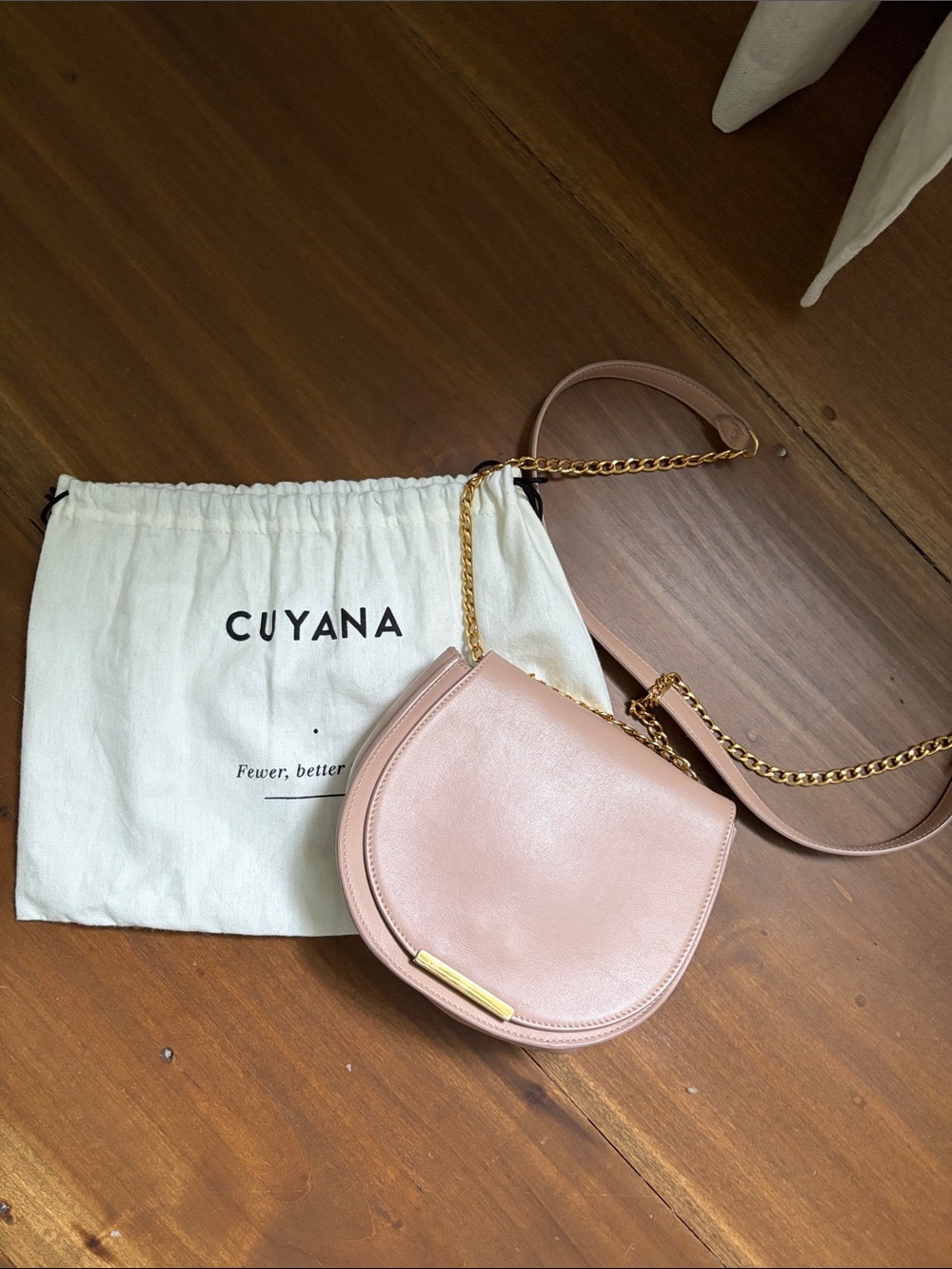 Cuyana Quartz Leather Saddle Bag with Gold Chain